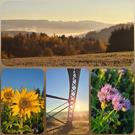 Ferienwohnung Schneeberg Διαμέρισμα Schneeberg (Saxony)