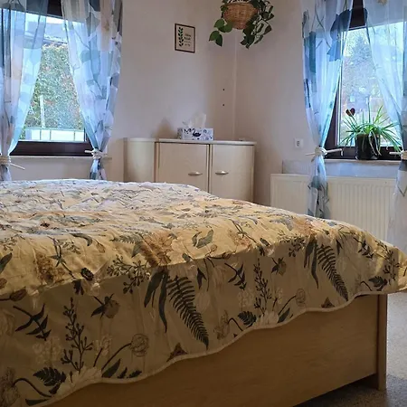 Ferienwohnung Schneeberg * Schneeberg (Saxony)